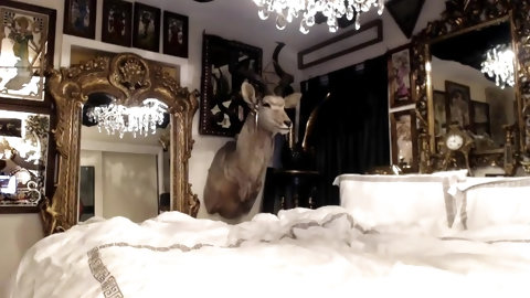 Shemale Danni Daniels Cam Show 2