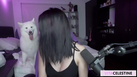 Gamer Girl Just Goes Wild On A Twitch...